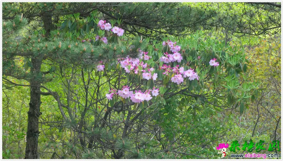 DSC00697.webp