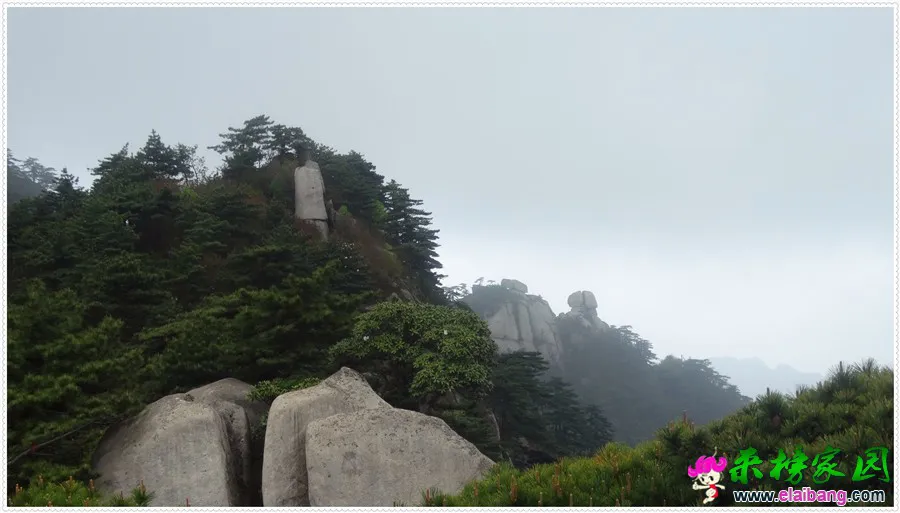 DSC00785.webp