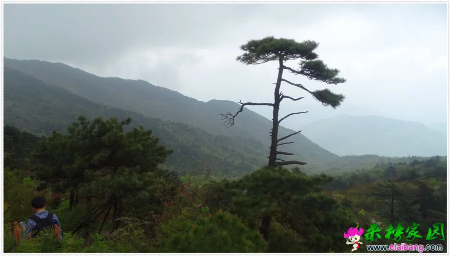 DSC00790.webp