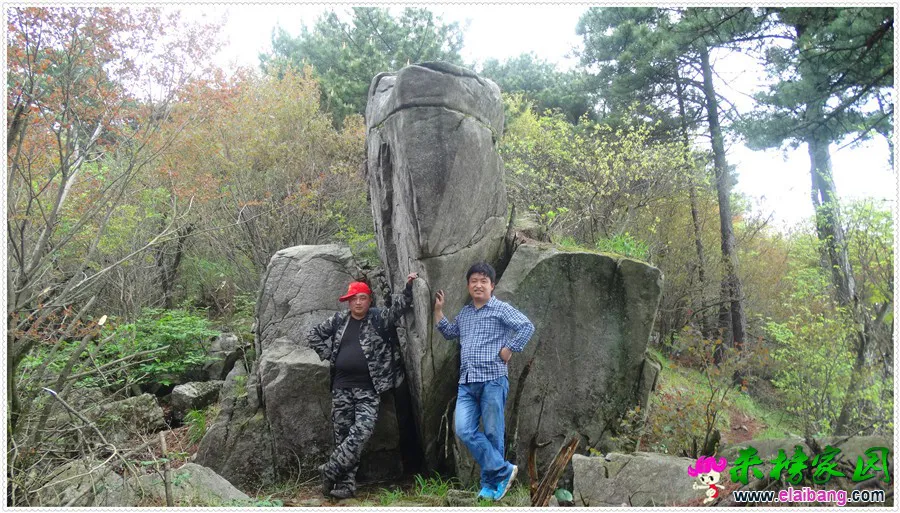 DSC00732.webp
