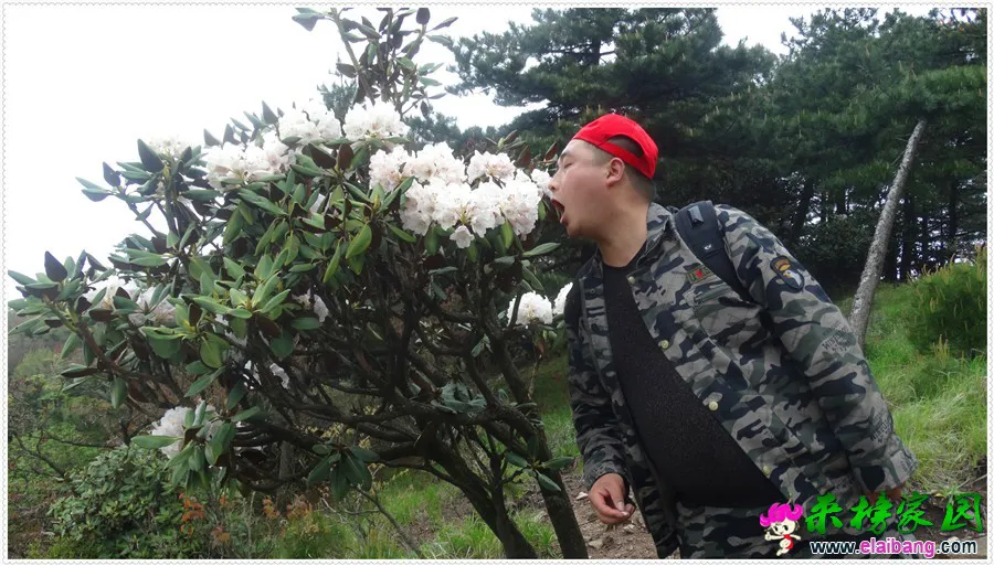 DSC00764.webp