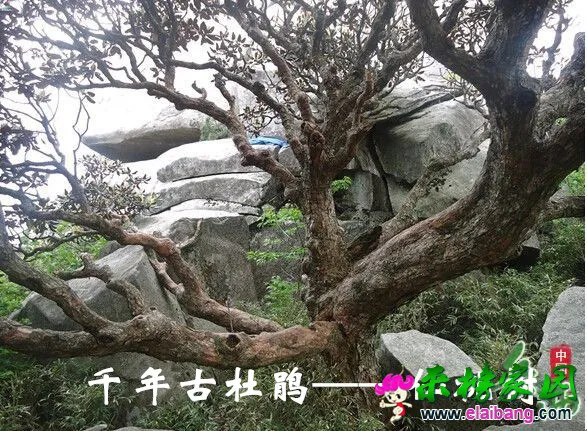 20_副本.webp