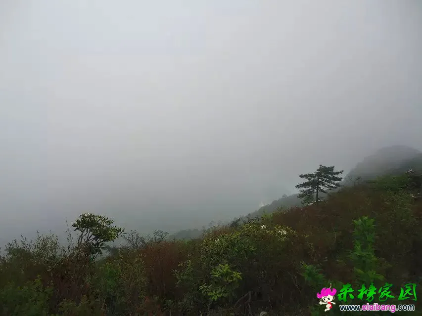云雾来了