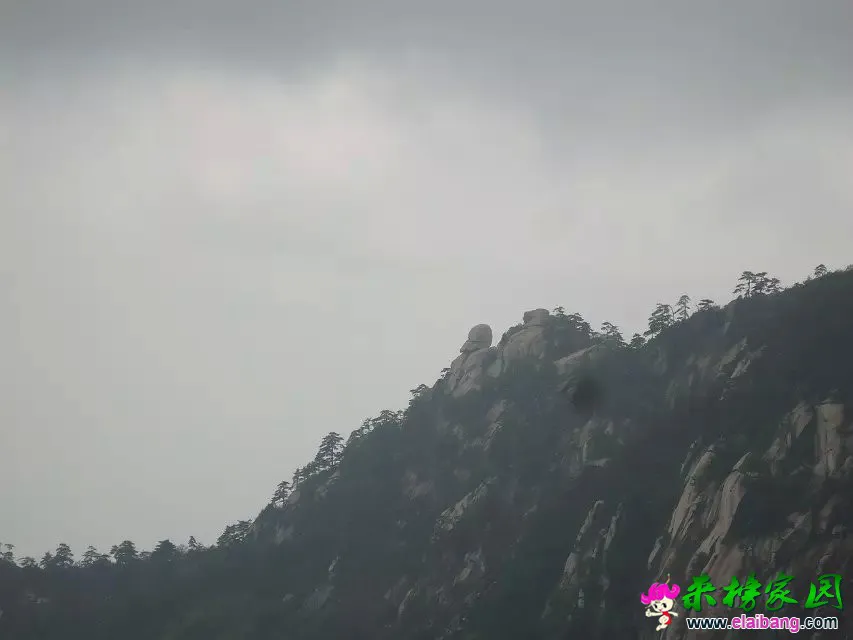 psbCA6JWMQO.webp