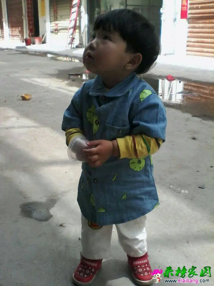 211920fy4lvov9voqocdod.webp