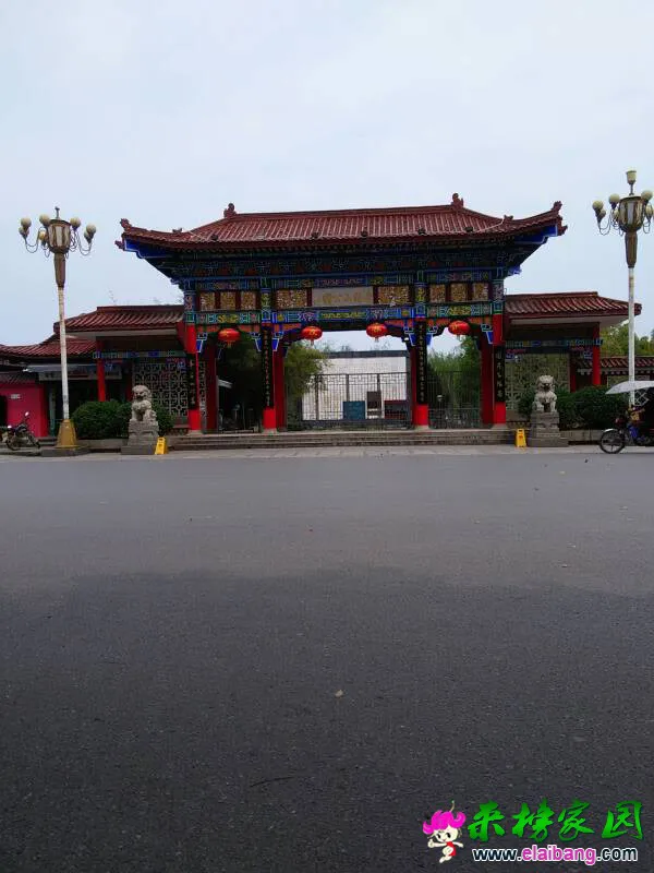 100640ikk9vkbekp4z39ge.webp