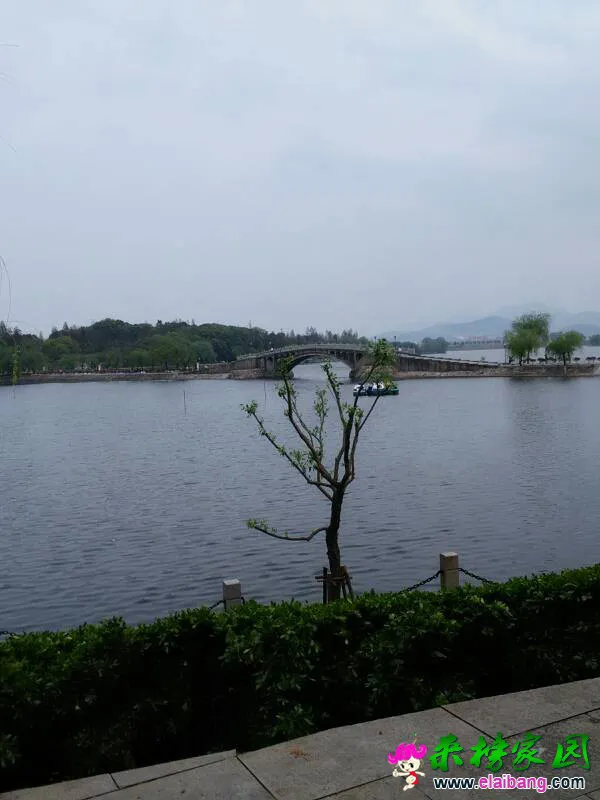 100641iy80a4ctz84y8ac0.webp