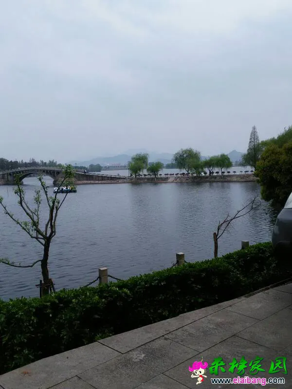 100642fl4qiud7zutqv134.webp