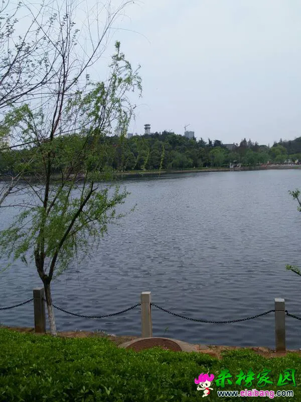 100643ysffoe9frc8ref8q.webp