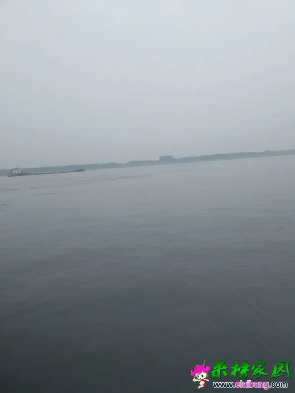 100646afpffu0fjgcul7mg.webp