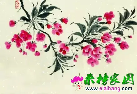 1.webp
