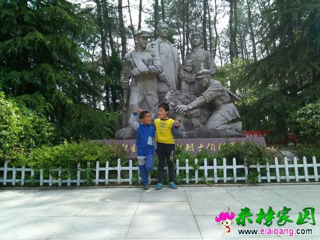 213117i5v8gvhj0fihjv5a.webp