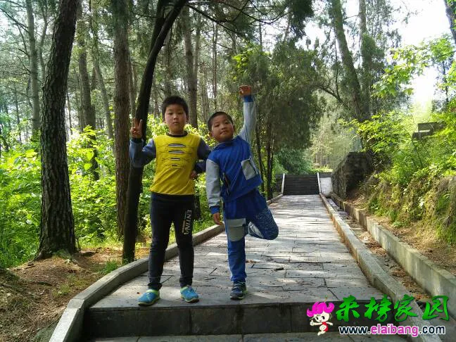 213118ydvzd0hrcy38tz88.webp