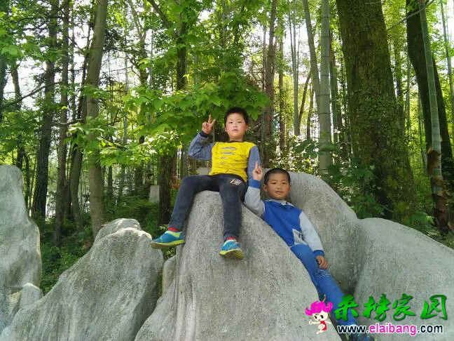 213119hj16vvv1fav11afv.webp