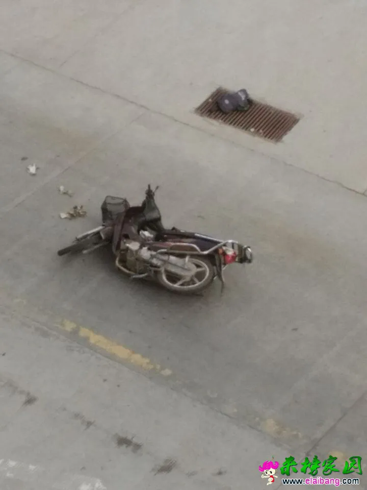 QQ图片20150512080334.webp