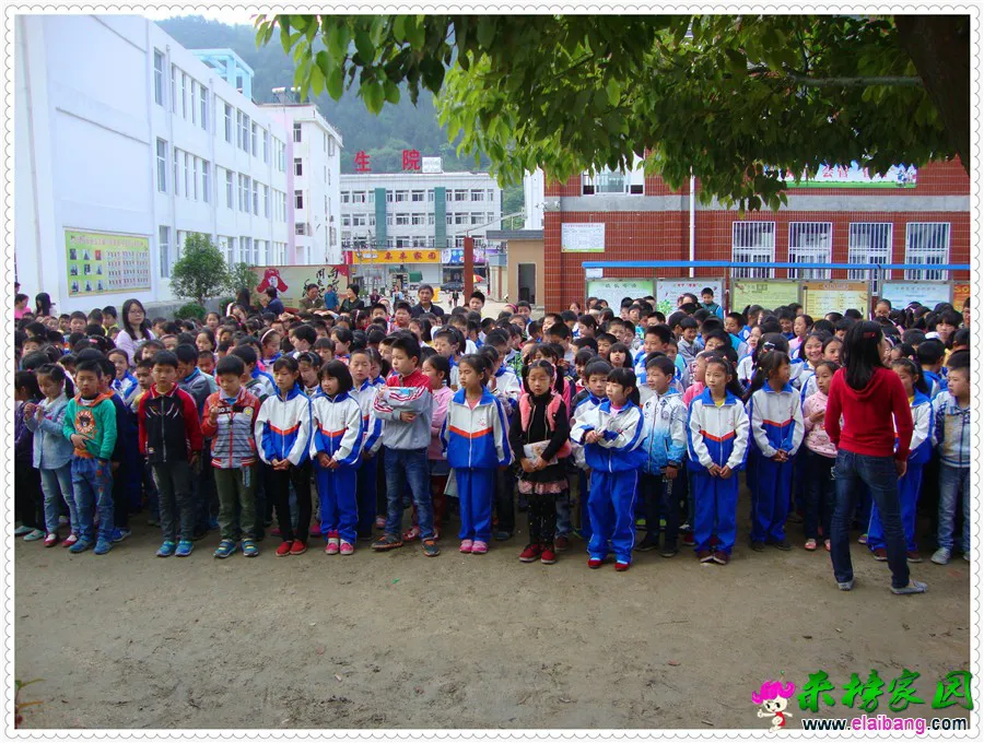 DSC05336.webp