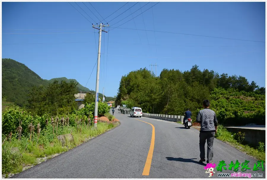 DSC_0126.webp