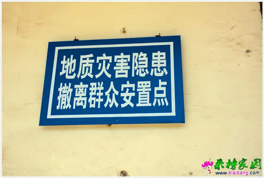 DSC_0162.webp