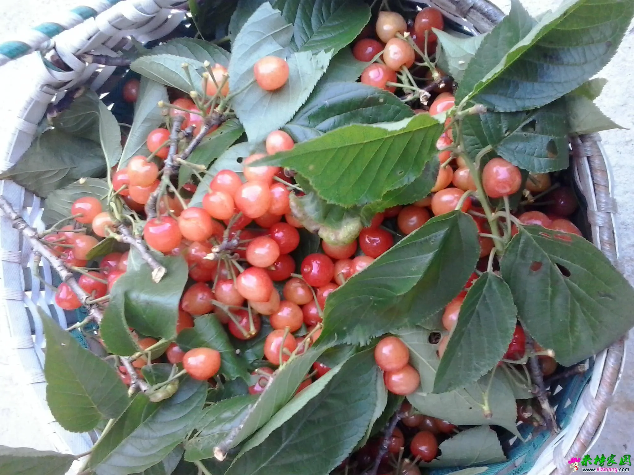 20150513_072755.webp