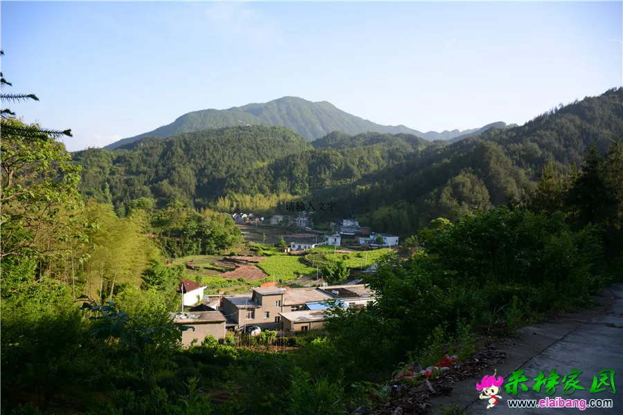 037.webp