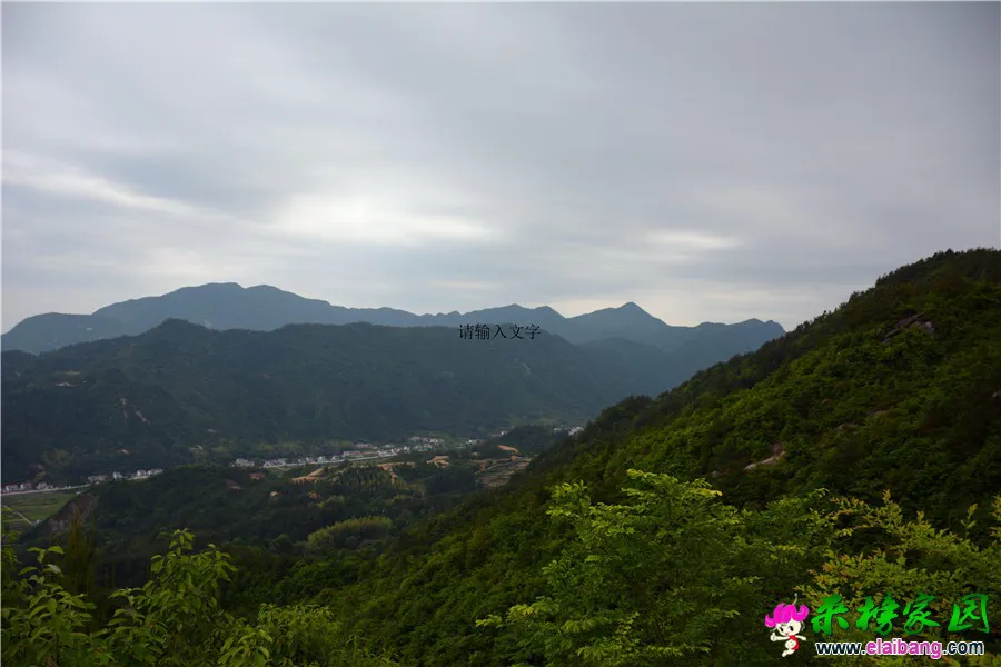 DSC_0211.webp