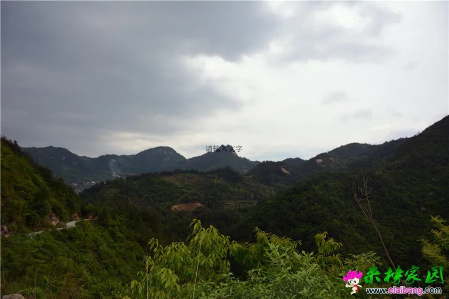 DSC_0215.webp