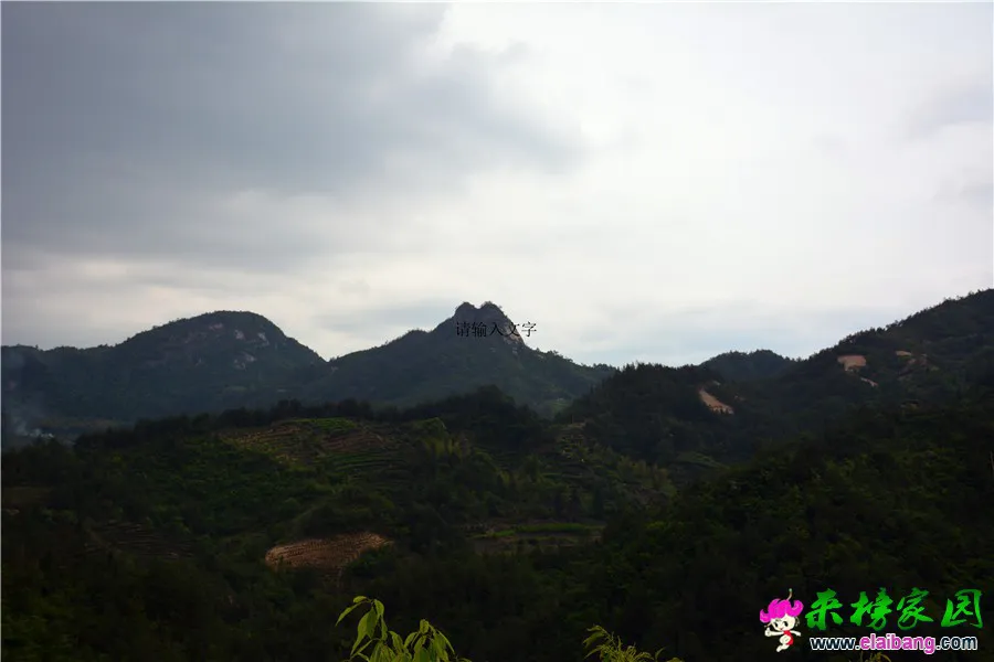 DSC_0217.webp