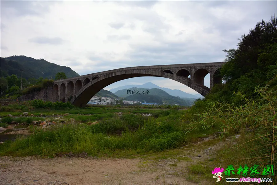 DSC_0222.webp