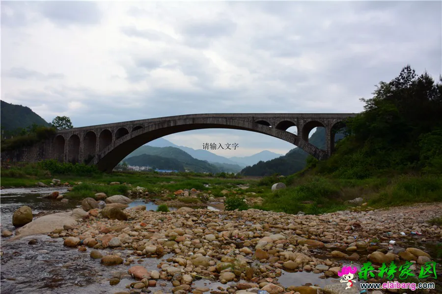 DSC_0225.webp