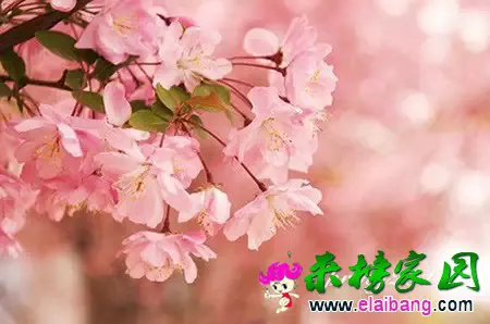 640.webp (2).webp