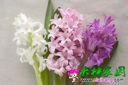 640.webp (3).webp