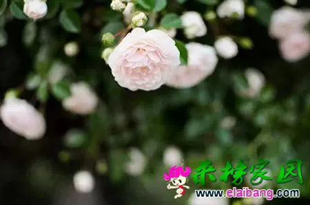 640.webp (5).webp