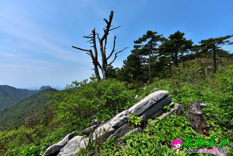 04.webp