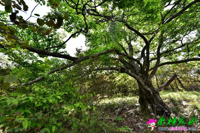 05.webp