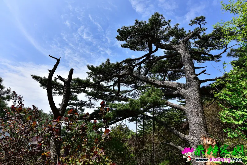 06.webp