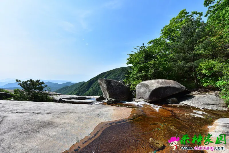 040.webp