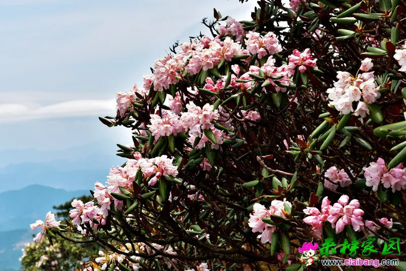 02.webp