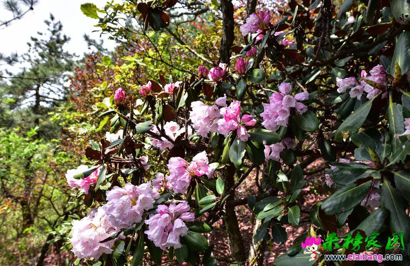 06.webp