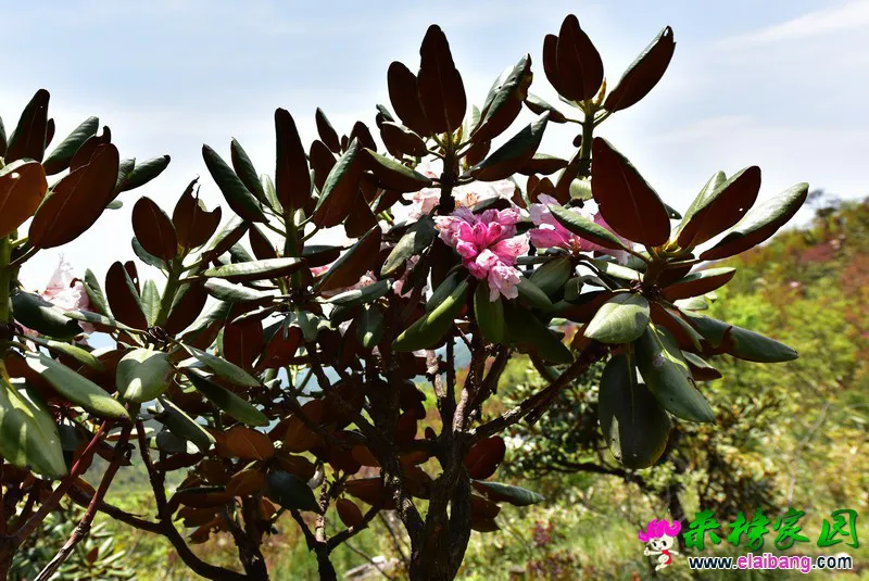 07.webp