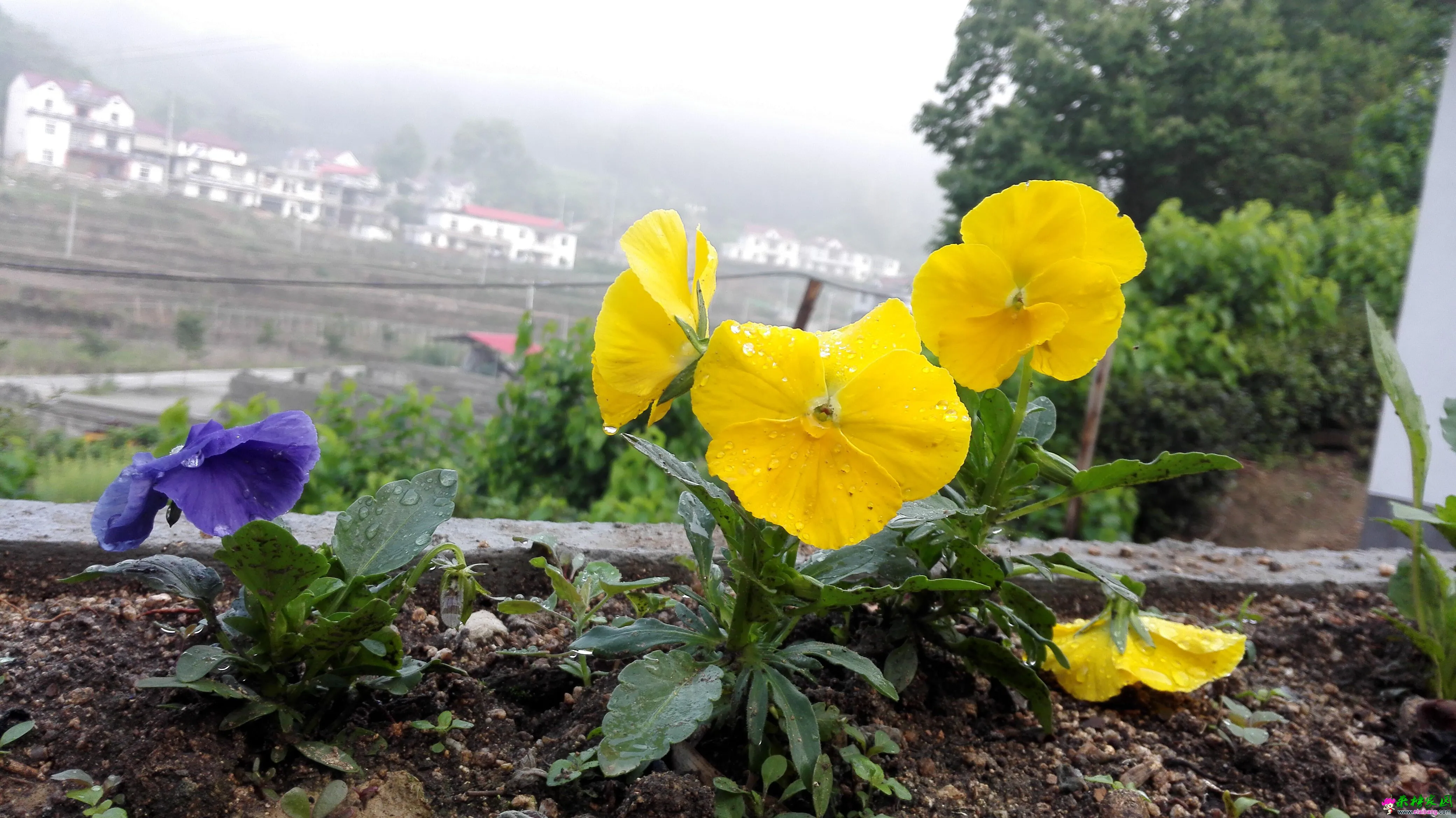 QQ图片20150516164046.webp