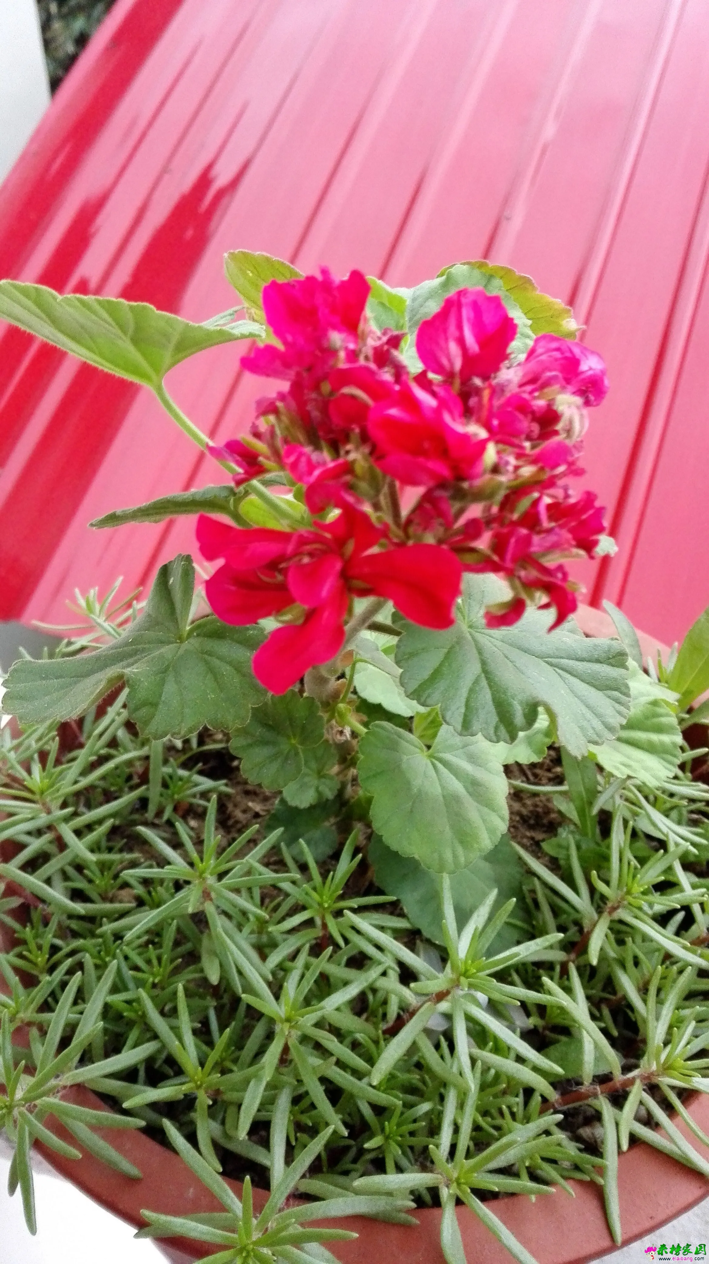 QQ图片20150516164050.webp