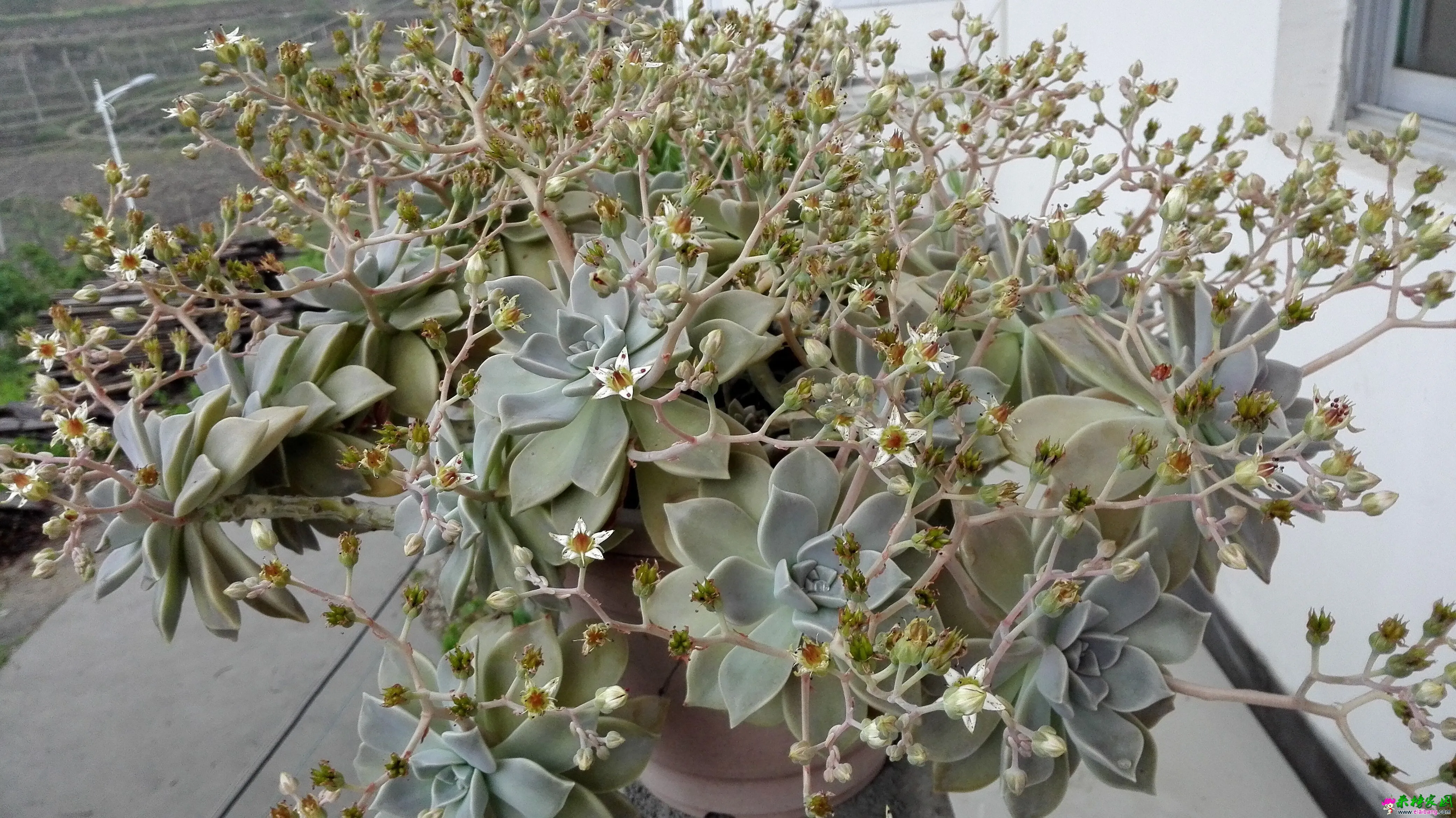QQ图片20150516164100.webp