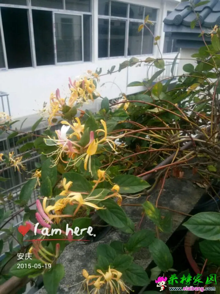 QQ图片2015051907040577.webp