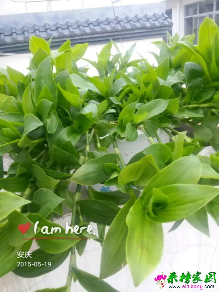 QQ图片2015051907041366.webp