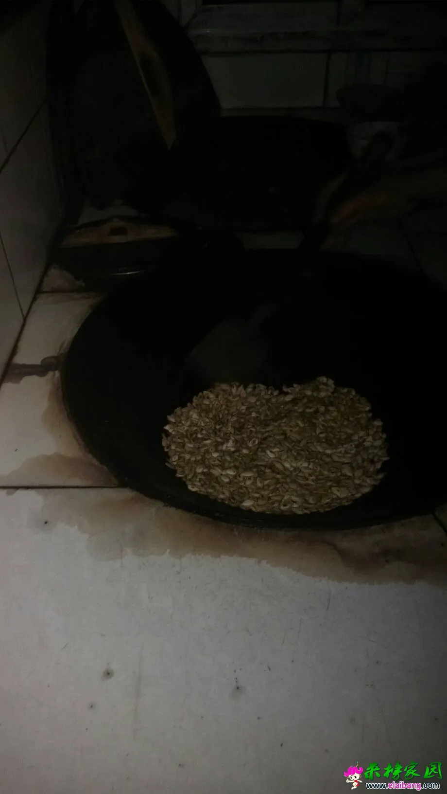 203812inxgjdmjfedxzze7.webp