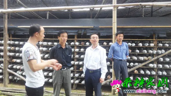 2015052017592636.webp