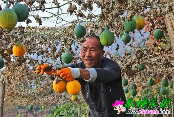 5d1b55cac9d4672514a38d6d92bfe12a.webp