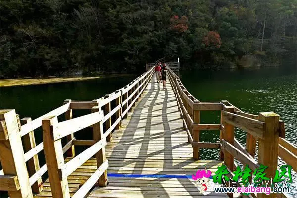 152347jpcxdvrjj0nuxjjc.webp