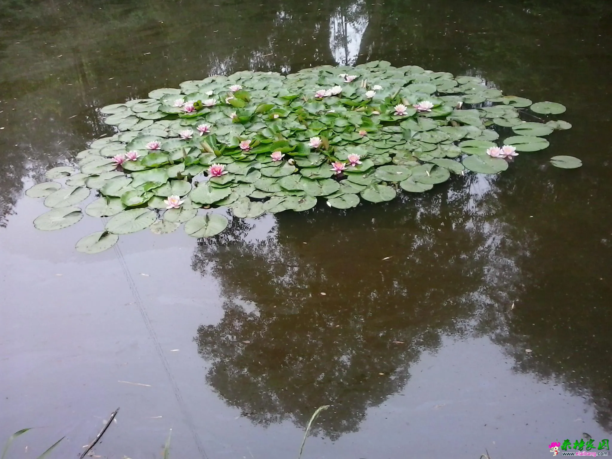 20150523_085419.webp