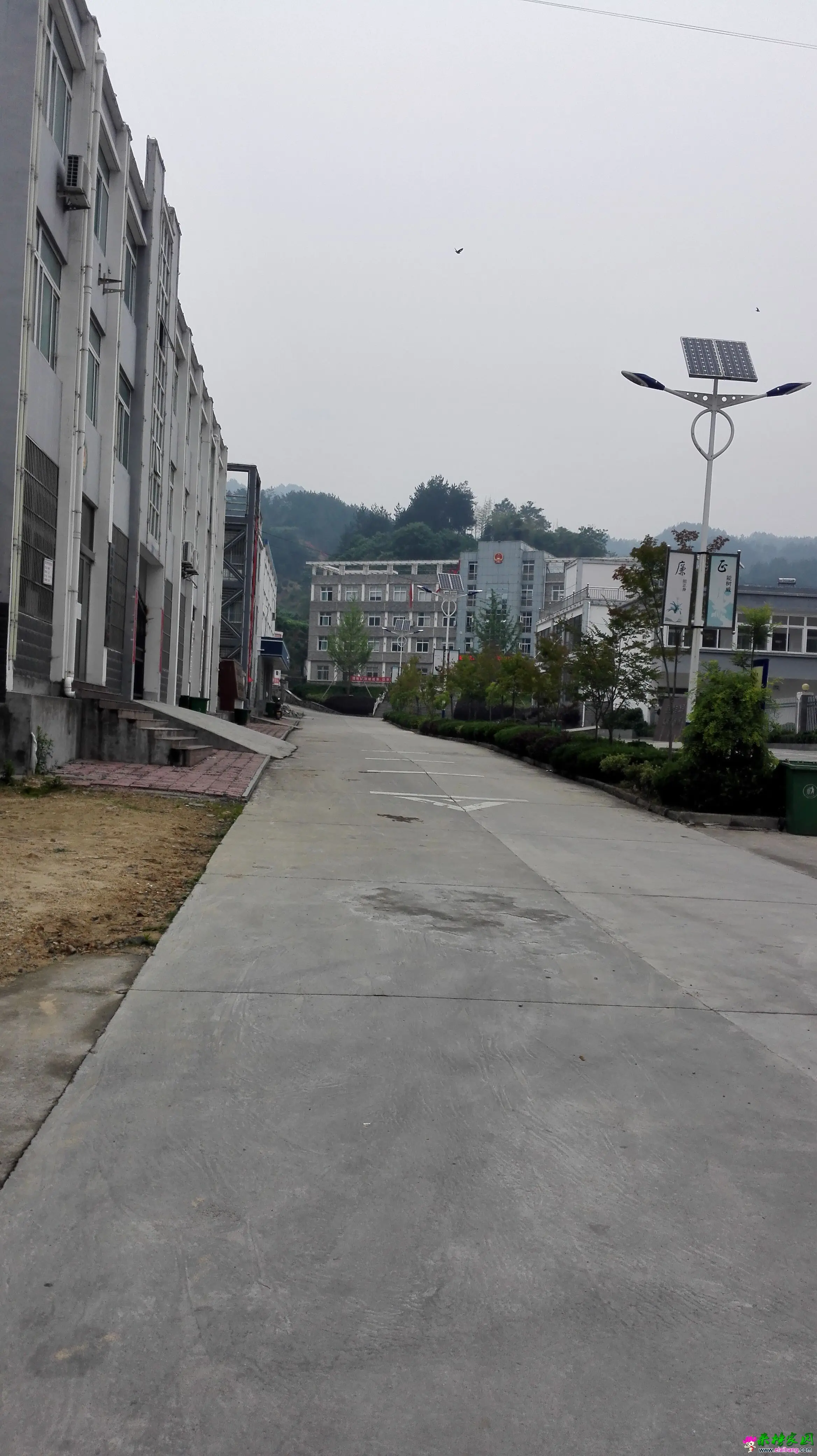 QQ图片20150523104912.webp
